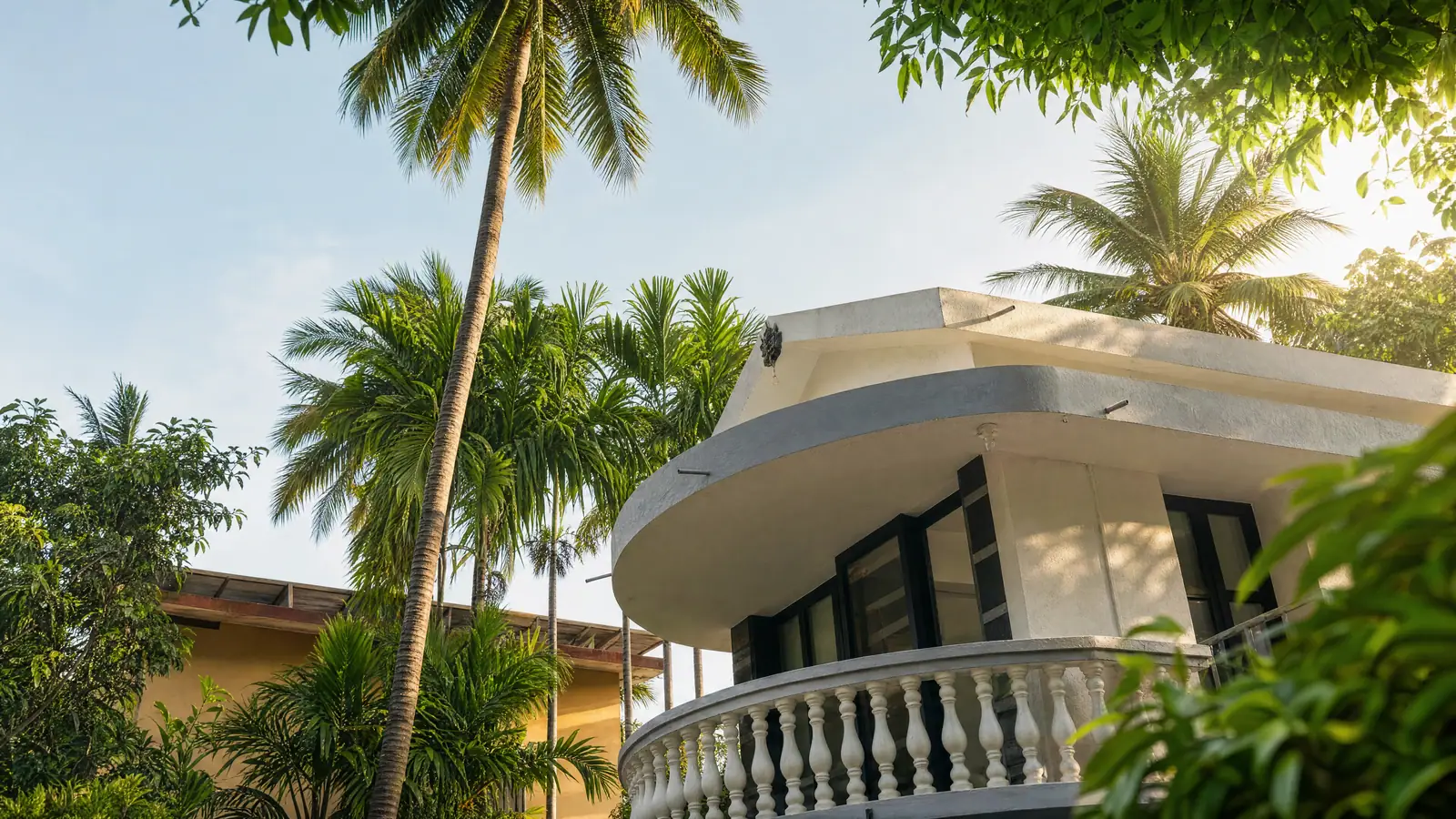 The curving balcony and its balustrade, half-hidden in the coconut palms.