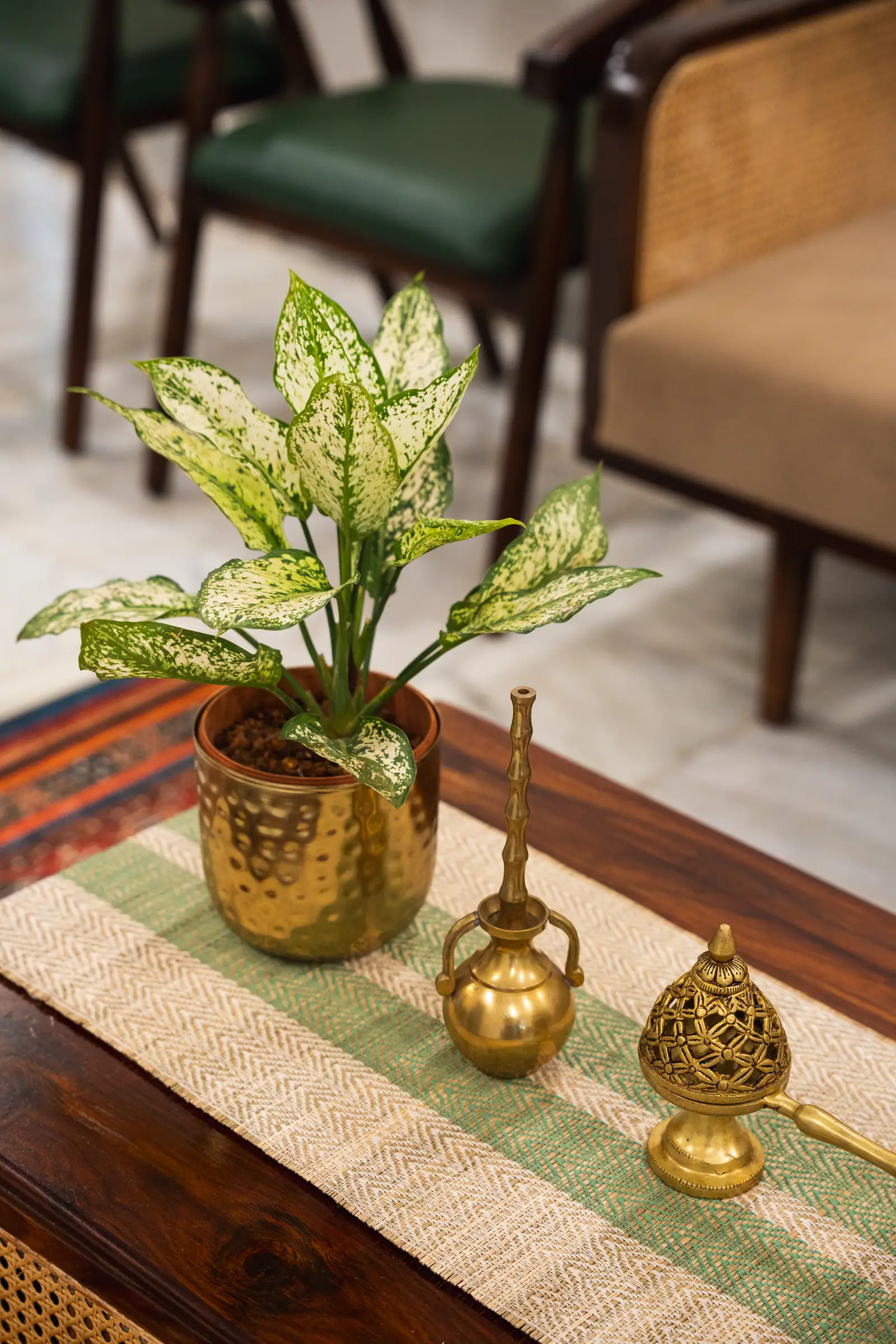Thoughtfully curated brass accents and lush greenery bring a touch of heritage warmth to our living space.